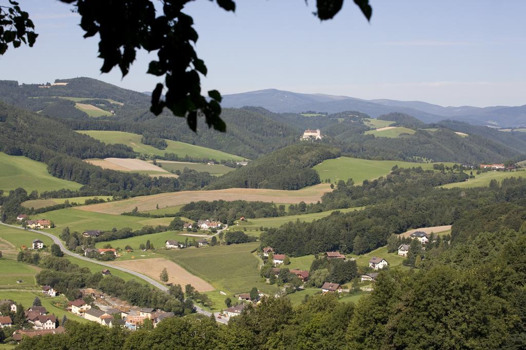 Geniesserpension Dopler - Zur Schonen Au Bad Schonau Exterior photo