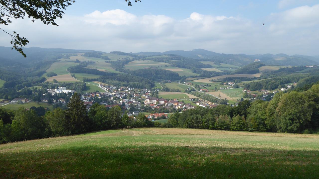 Geniesserpension Dopler - Zur Schonen Au Bad Schonau Exterior photo